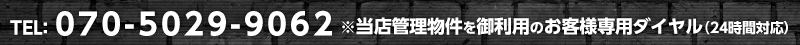 070-5029-9062 XǗ䗘p̂qlp_CiQSԑΉj
